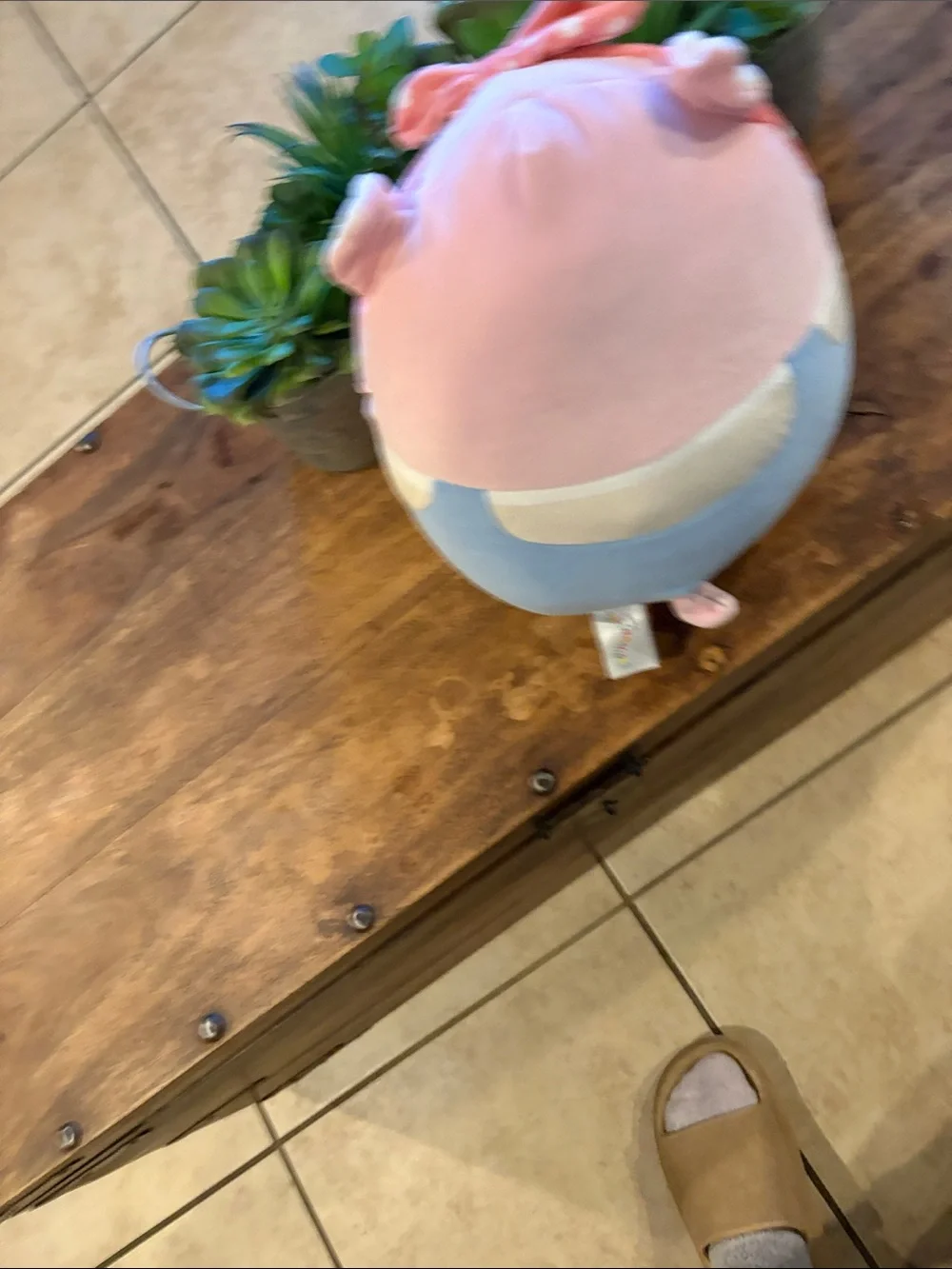 Petra the Pig Easter Collection Squishmallow - Pink